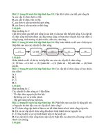 Giải sbt sinh học 10 – chân trời sáng tạo bài  (3)