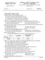 Đề thi học kì 1 môn Địa lí lớp 11 năm 2022-2023 - Trường THPT Lê Lợi, Quảng Trị