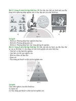 Giải sbt sinh học 10 – chân trời sáng tạo bài  (2)