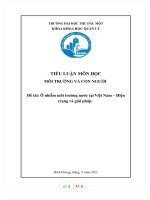 Tiểu luận môn học môi trường và con người đề tài ô nhiễm môi trường nước tại việt nam hiện trạng và giải pháp