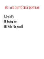 Bài giảng Nghiệp vụ nghề bar Bartender (Nhân viên pha chế )và phục vụ quầy bar