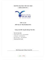 Tiểu luận môn quản trị marketing  đề tài lập kế hoạch chiến lược marketing cho sản phẩm sh mode 150i của honda