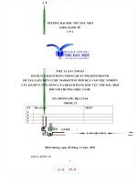 Đề tài lập chiến lược marketing mới dựa vào việc nghiên cứu hành vi tiêu dùng của khách hàng khu vực thủ dầu một đối với thương hiệu yame