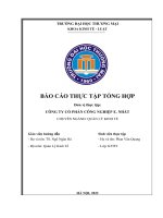 Báo cáo thực tập khoa Kinh tế luật tại Công ty cổ phần công nghiệp e  nhất