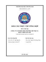 Báo cáo thực tập khoa Kinh tế luật tại Công ty cổ phần môi trường đô thị và phát triển hà nội