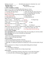 De thi giua hoc ki 2 khoa hoc tu nhien 6 sach chan troi sang tao de 4