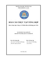 Báo cáo thực tập khoa Kinh tế luật tại Công ty cổ phần đầu tư bất động sản vha