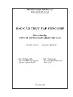 Báo cáo thực tập khoa Kinh tế luật tại Công ty cổ phần babychess việt nam