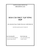 Báo cáo thực tập khoa Kinh tế luật tại Công ty cổ phần chế tạo máy và thiết bị điện abs