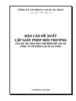 BÁO CÁO ĐỀ XUẤT CẤP GIẤY PHÉP MÔI TRƯỜNG CỦA DỰ ÁN: NHÀ MÁY CHẾ BIẾN MỦ CAO SU CÔNG TY CỔ PHẦN CAO SU SA THẦY IA H''DRAI, NĂM 2022
