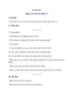 Văn mẫu lớp 4 tập 2 bài  (8)