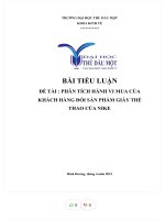 Tiểu luận đề tài  phân tích hành vi mua của khách hàng đối sản phẩm giày thể thao của nike 2