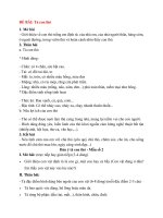 Văn mẫu lớp 4 tập 2 bài  (12)