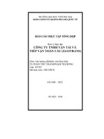 Báo cáo thực tập kinh doanh quốc tế tại Công ty tnhh vận tải và tiếp vận toàn cầu
