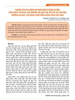 Nghiên cứu xây dựng thư viện điện tử dùng chung giữa trung tâm học liệu trường đại học cần thơ với các thư viện trường đại học, cao đẳng vùng đồng bằng sông cửu long