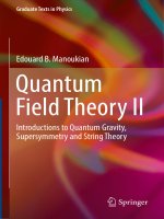 Ebook Quantum field theory II: Introductions to quantum gravity, supersymmetry and string theory - Part 1