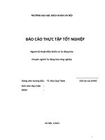 Báo cáo TTTN  CÔNG TY TNHH LG INNOTEK