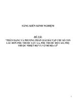 Skkn vật lý thpt phân dạng và phương pháp giải bài tập chu kì con lắc đơn phụ thuộc lực lạ, phụ thuộc độ cao, phụ thuộc nhiệt độ và vị trí địa lí