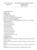 Ngu van 11 de cuong cuoi ki 1 5058