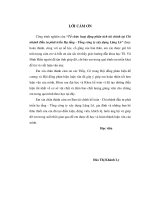 Luận văn tổ chức hoạt động phân tích tài chính tại chi nhánh đầu tư phát triển hạ tầng   tổng công ty xây dựng lũng lô