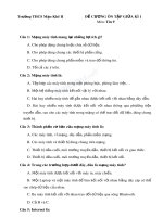 De cuong on tap giua ky 1 tin 9 docx thcs mao khe 2 6512