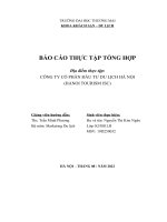 Báo cáo thực tập khoa Khách sạn du lịch tại Công ty cổ phần đầu tư du lịch hà nội (2023)