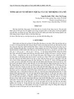 Tổng quan về mô đun nội xạ và các mở rộng của nó