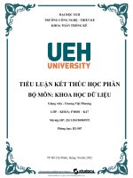 Tiểu luận kết thúc học phần bộ môn khoa học dữ liệu
