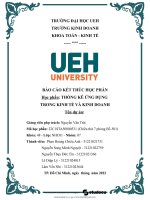 Khảo sát về mức độ hài lòng củasinh viên ueh về hình thức mua sắm trực tuyến trên hai  nền tảng shopee và tiktok shop