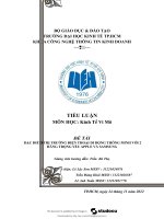 Tiểu luận đặc điểm thị trường điện thoại di động thông minh với 2 hãng trọng yếu apple và samsung
