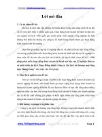 Chuyên đề giải pháp phát triển hoạt động kinh doanh lữ hành nội địa của xí nghiệp đầu tư và phát triển du lịch sông hồng thuộc công ty dl và tm tổng hợp thăng long