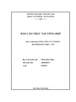 Báo cáo thực tập khoa Tài chính ngân hàng tại Tổng công ty cổ phần bảo hiểm bưu điện