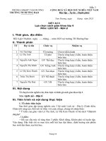 Tổ 4   mau 3 bb  lua chon sgk ls địa lí