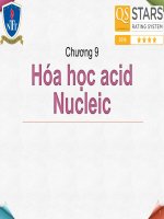 Bài giảng hóa sinh   chương 9 hóa học acid nucleic