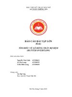 Báo cáo bài tập lớn đề tài tìm hiểu về lỗ hổng tràn bộ đệm (buffer overflow)