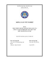 Phát triển thương mại mặt hàng giấy của công ty trách nhiệm hữu hạn thủy việt trên thị trường hà nội