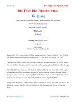 Đỗ quang   bùi thụy đào nguyên, soạn