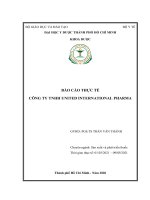 Báo cáo thực tế công ty tnhh united international pharma