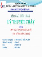  Tiểu Luận -  Lý Thuyết Cháy -  Đề Tài - Đốt Dầu Fo Với Phương Pháp Tán Sương Bằng Áp Lực