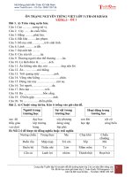 Vòng 3   bộ ôn trạng nguyên tiếng việt lớp 3