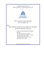 Tiểu luận môn học đầu tư quốc tế đề tài báo cáo dự án đầu tư của công ty vinamilk sang thị trường thái lan