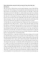 Tài Liệu Hình Ảnh Mùa Xuân Tuổi Trẻ Tình Yêu Trong Vội Vàng - Mùa Xuân Chín.pdf