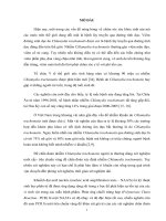 Luận văn nghiên cứu ứng dụng kỹ thuật pcr trong chẩn đoán viêm âm đạo, cổ tử cung do chlamydia trachomatis tại bệnh viện đại học y thái bình