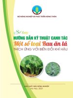 Sổ tay Hướng dẫn kỹ thuật canh tác một số loại rau ăn lá thích ứng với biến đổi khí hậu: Phần 1
