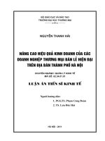 Luận văn nâng cao hiệu quả kinh doanh của các doanh nghiệp thương mại bán lẻ hiện đại trên địa bàn thành phố hà nội