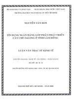 Luận văn thạc sĩ tín dụng ngân hàng góp phần phát triển cây chè oolong ở tỉnh lâm đồng