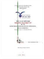 Tiểu luận môn học thương mại điện tử đề tài lập kế hoạch kinh doanh son chính hãng belle cosmetics