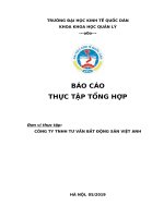 Công ty tnhh tư vấn bất động sản việt anh