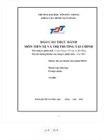 Báo cáo thực hành môn tiền tệ và thị trường tài chính tên công ty phân tích ví dụ công ty cp cao su đà nẵng drc