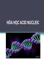 Bài giảng hóa học acid nucleic   ths  huỳnh thị thu hương